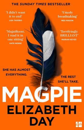 Magpie by Elizabeth Day 9780008374983