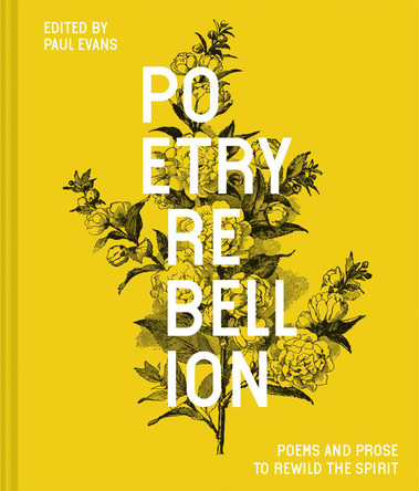 Poetry Rebellion: Poems and prose to stir the soul by Paul Evans