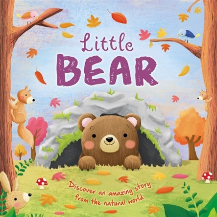 Little Bear by Igloo Books 9781839030734 [USED COPY]