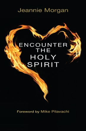 Encounter the Holy Spirit by Jeannie Morgan 9780857211682 [USED COPY]