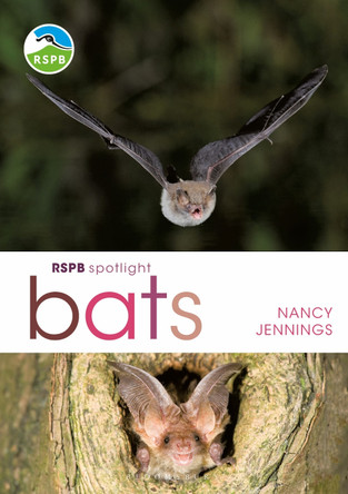 RSPB Spotlight Bats by Nancy Jennings