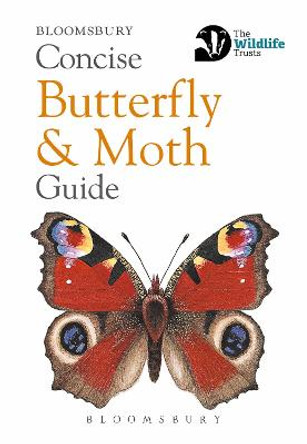 Concise Butterfly and Moth Guide by Bloomsbury