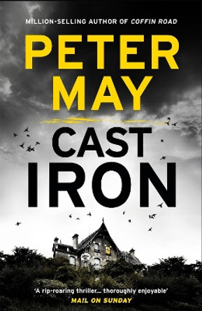 Cast Iron: The red-hot finale to the cold-case Enzo series (Enzo 6) by Peter May 9781782062318