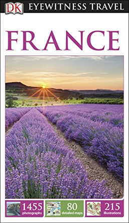 DK Eyewitness Travel Guide: France by DK 9781409329084 [USED COPY]