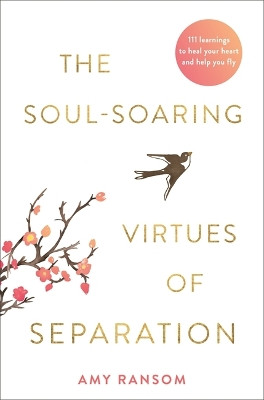 The Soul-Soaring Virtues of Separation: 111 Learnings to Heal Your Heart and Help You Fly by Amy Ransom 9781788175142
