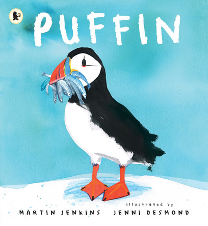 Puffin by Martin Jenkins 9781529513639 [USED COPY]