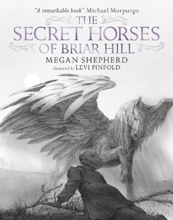 The Secret Horses of Briar Hill by Megan Shepherd 9781406367584 [USED COPY]