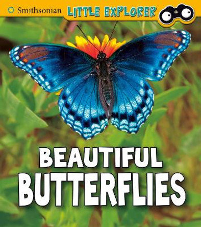 Beautiful Butterflies by Melissa Higgins 9781474770590 [USED COPY]