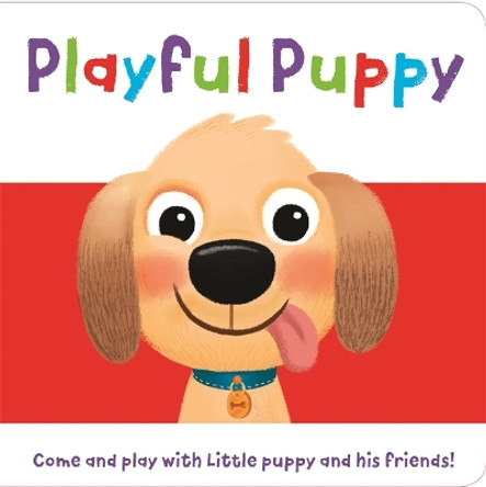 Playful Puppy by Igloo Books 9781789058697 [USED COPY]