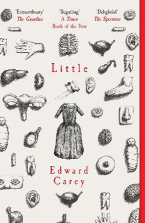 Little by ,Edward Carey 9781910709535 [USED COPY]