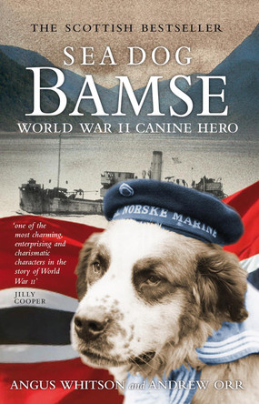 Sea Dog Bamse: World War II Canine Hero by Angus Whitson 9781841588490 [USED COPY]