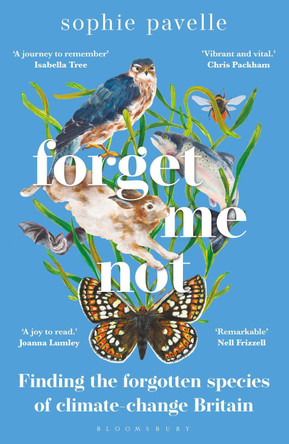 Forget Me Not: Finding the forgotten species of climate-change Britain by Sophie Pavelle 9781472986238 [USED COPY]