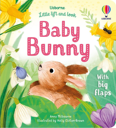 Little Lift and Look Baby Bunny by Anna Milbourne 9781803701653 [USED COPY]