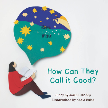 How Can They Call It Good? by Anika Lillicrap 9781788159265 [USED COPY]