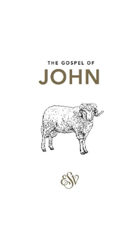 John's Gospel (ESV) by John the Apostle 9781873166987 [USED COPY]