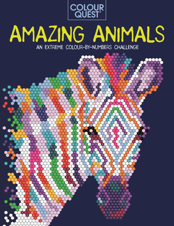 Colour Quest: Amazing Animals by Lauren Farnsworth 9781789292855 [USED COPY]