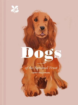 Dogs of the National Trust by Amy Feldman 9781911358695 [USED COPY]