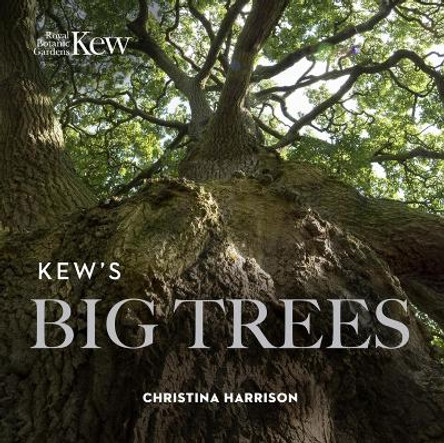 Kew's Big Trees by Christina Harrison 9781842466872 [USED COPY]