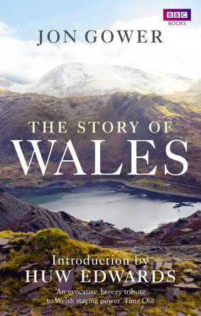 The Story of Wales by Jon Gower 9781849903738 [USED COPY]