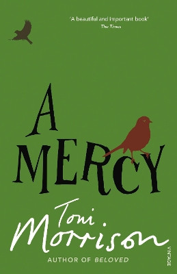 A Mercy by Toni Morrison 9780099502548 [USED COPY]