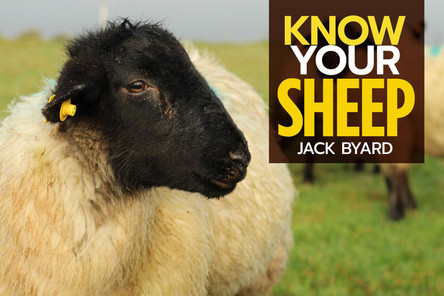 Know Your Sheep by Jack Byard 9781912158508 [USED COPY]