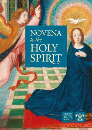 Novena to the Holy Spirit by Fr Philip G Bochanski 9781860823817 [USED COPY]