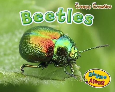 Beetles by Rebecca Rissman 9781406241464 [USED COPY]