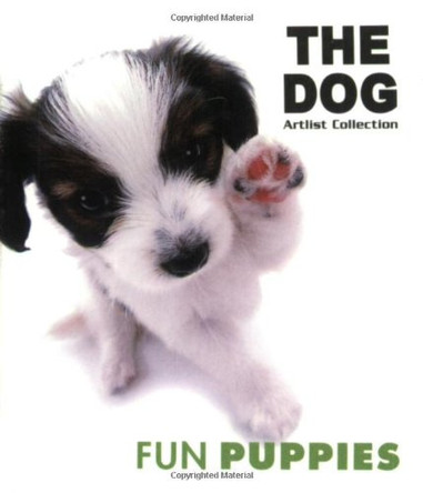 Fun Puppies by  9781844421909 [USED COPY]