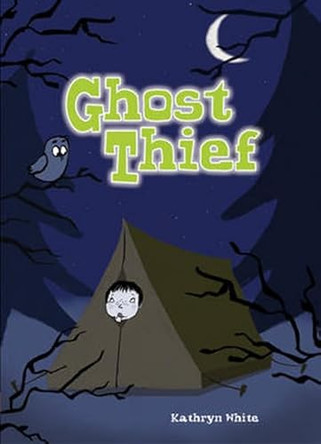 Pocket Chillers Year 3 Horror Fiction: Ghost Thief by  9780602242121 [USED COPY]