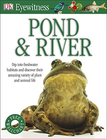 Pond & River by  9781405345392 [USED COPY]