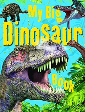 My Big Dinosaur Book by  9781783250646 [USED COPY]