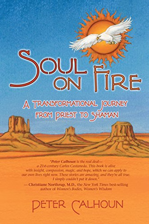 Soul On Fire: A Transformational Journey From Priest To Shaman by Peter Calhoun 9781401917487 [USED COPY]