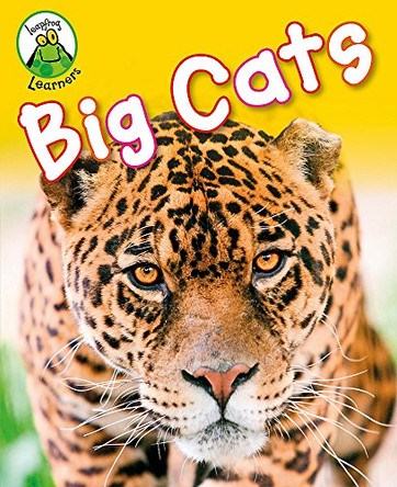 Leapfrog Learners: Big Cats by Annabelle Lynch 9781445103303 [USED COPY]