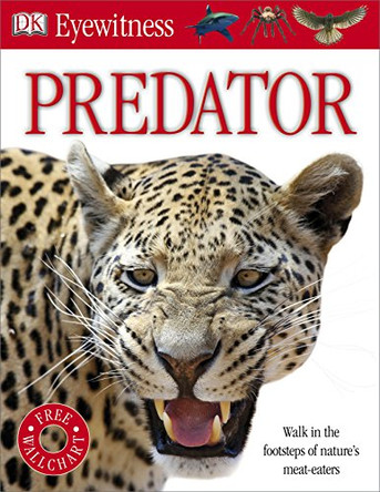 Predator by DK 9781405365093 [USED COPY]