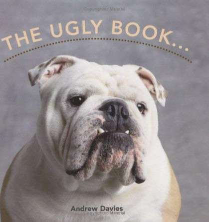 The Ugly Book by Andrew T. Davies 9781861058560 [USED COPY]