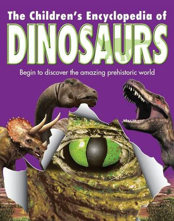 Reference 5+: Children's Dinosaur Encyclopedia by  9781445406503 [USED COPY]