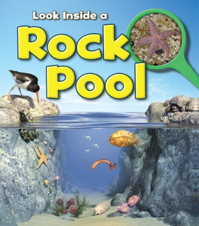 Rock Pool by Louise Spilsbury 9781406251296 [USED COPY]