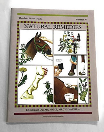 Natural Remedies for Common Ailments by Chris Day 9781872082790 [USED COPY]