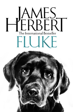 Fluke by James Herbert