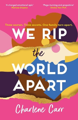 We Rip the World Apart: A sweeping story about motherhood, race and secrets Charlene Carr 9781802795462