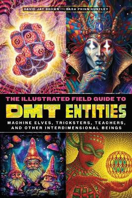The Illustrated Field Guide to DMT Entities: Machine Elves, Tricksters, Teachers, and Other Interdimensional Beings David Jay Brown 9781644119198