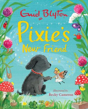 Pixie's New Friend Enid Blyton 9781444949513