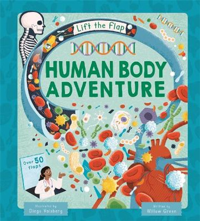 Human Body Adventure Autumn Publishing 9781835443088