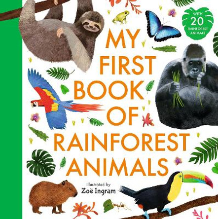 My First Book of Rainforest Animals Zoë Ingram 9781529522181