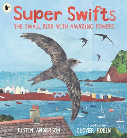 Super Swifts: The Small Bird With Amazing Powers Justin Anderson 9781529523690