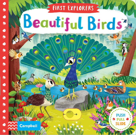Beautiful Birds Chorkung 9781509898336