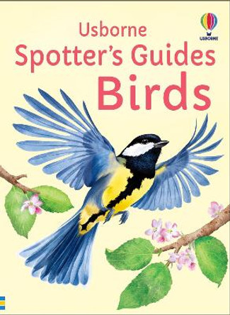 Spotter's Guides: Birds Mikki Butterley 9781805072997