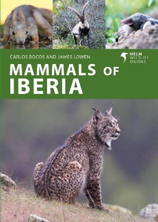 Mammals of Iberia: A guide to the terrestrial mammals of Spain, Portugal and the Balearic Islands Carlos Bocos Gonzalez 9781399411936