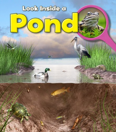 Pond by Louise Spilsbury 9781406251289 [USED COPY]