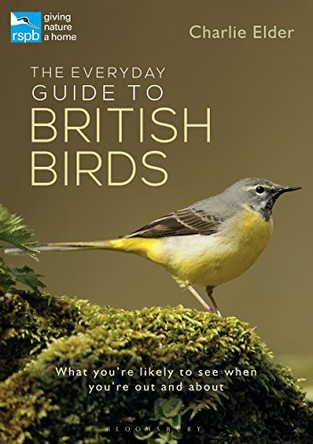 The Everyday Guide to British Birds: Identify our common species and learn more about their lives by Charlie Elder 9781472941176 [USED COPY]